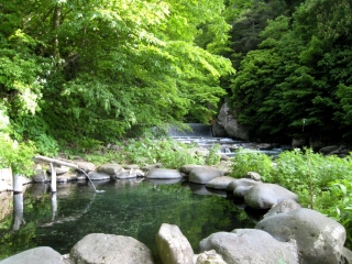 Taka-no-Yu Onsen | STAY AKITA – Depth of Beauty –