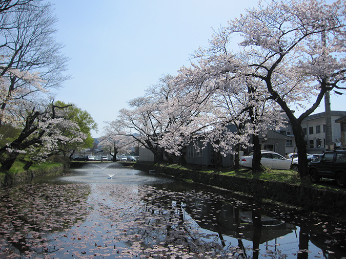 桂城公園 住在秋田 探究它的美