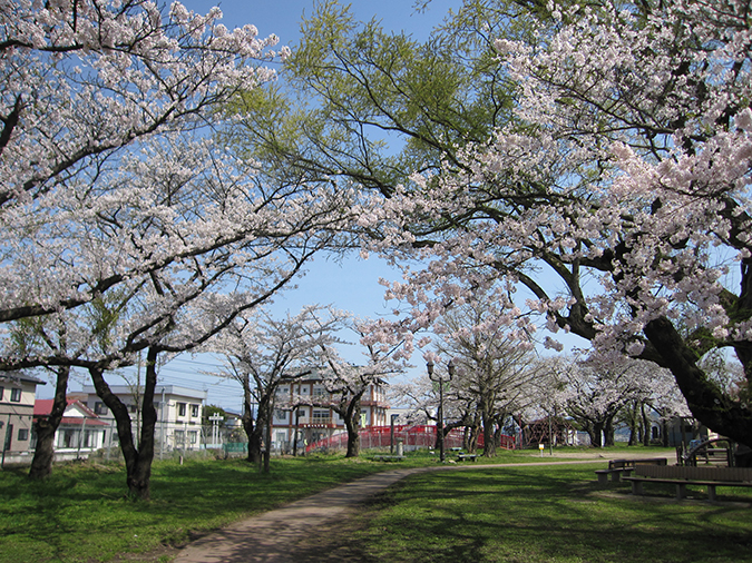 桂城公園 住在秋田 探究它的美