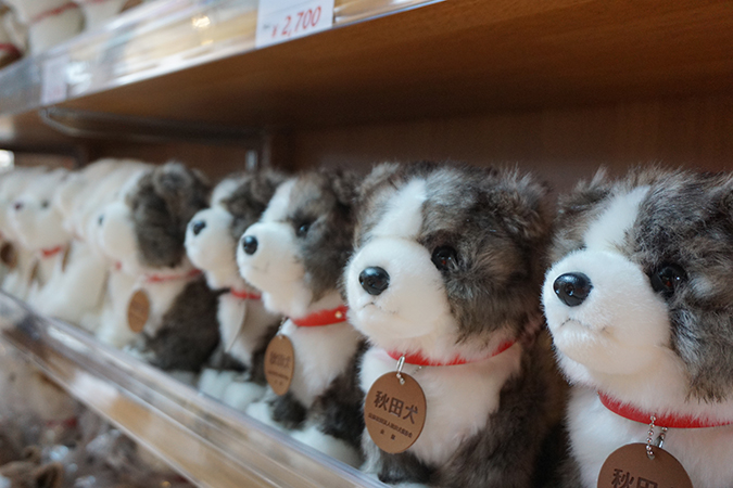 ※お値下げしました！小動物飼育グッズ Akita Inu Visitor Center | STAY AKITA – Depth of Beauty –