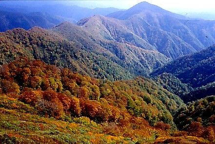 神室山 住在秋田 探究它的美