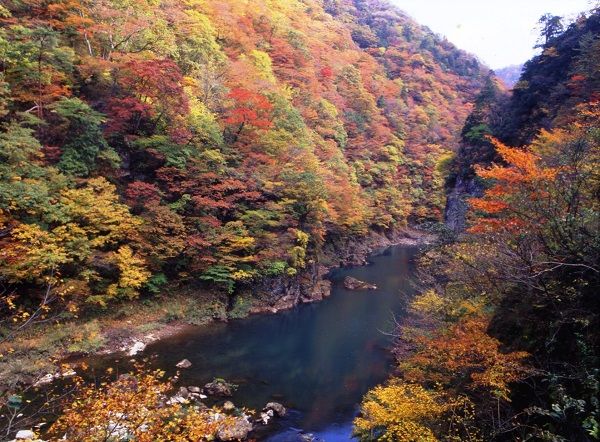 Dakigaeri-keikoku (Dakigaeri valley) | STAY AKITA – Depth of Beauty –
