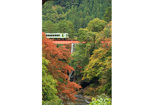 飽覽紅葉與絕景之旅 3天2夜 住在秋田 探究它的美